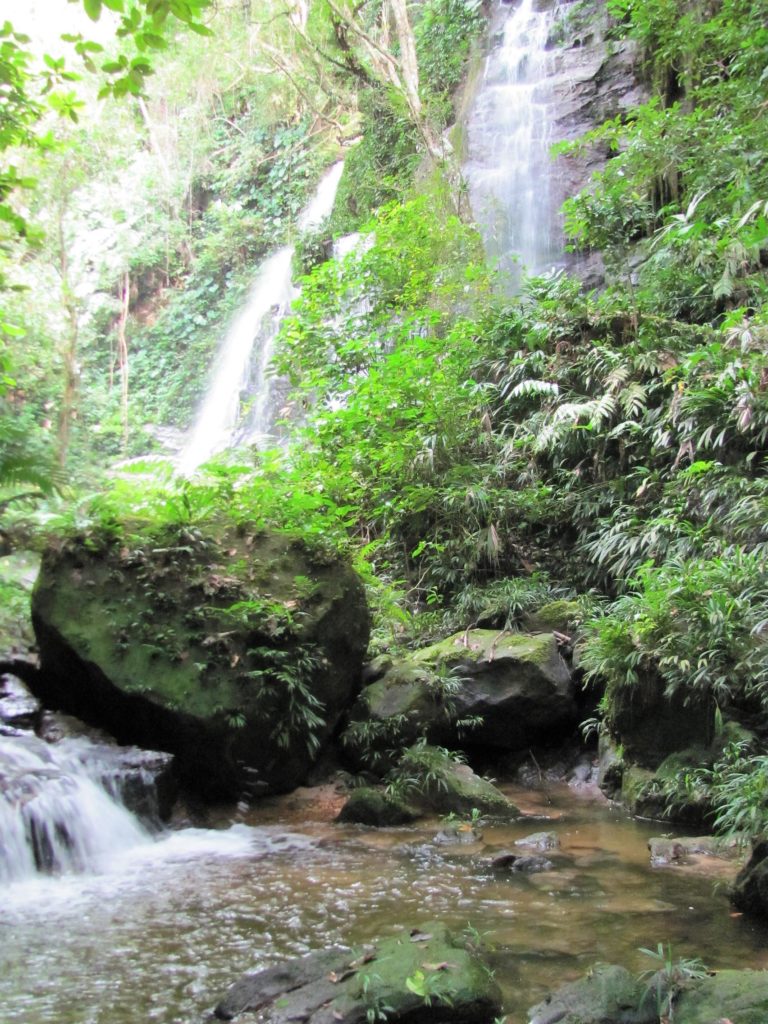 venta lotes y casas campestres colombia carmen de apicala fruworld gran cascada 2
